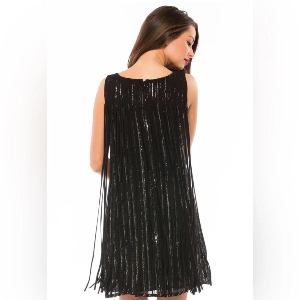 Parker Bryant dress fringe trim sequins silk size small black NWT - Picture 2 of 9